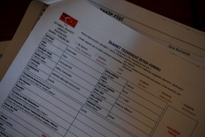 The printed version of the online form.