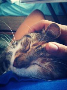 995474_10152129518188154_997167818_n