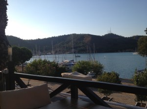 View from the terrace.