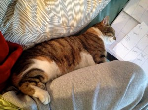 Sundays, as they should be spent.